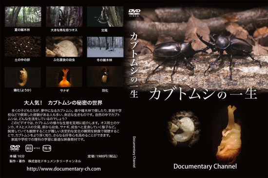 カブトムシの一生 ドキュメンタリーチャンネル オンラインショップ